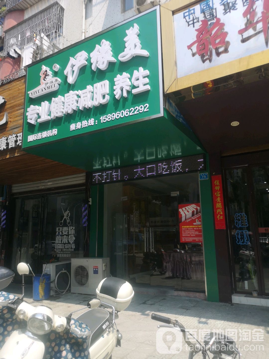 伊缘美专业健康减肥羊生