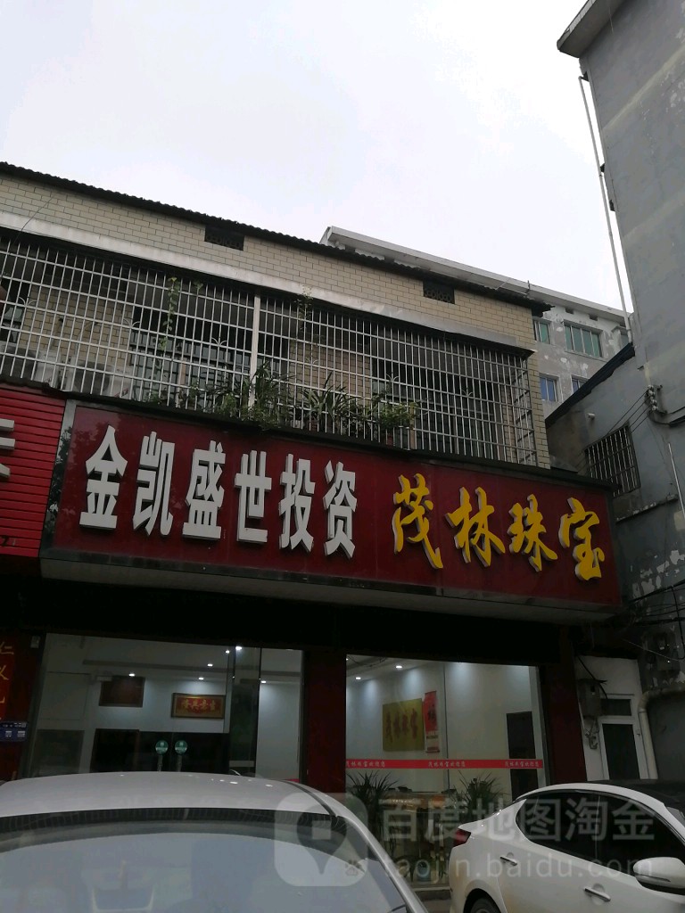 金凯盛世投资