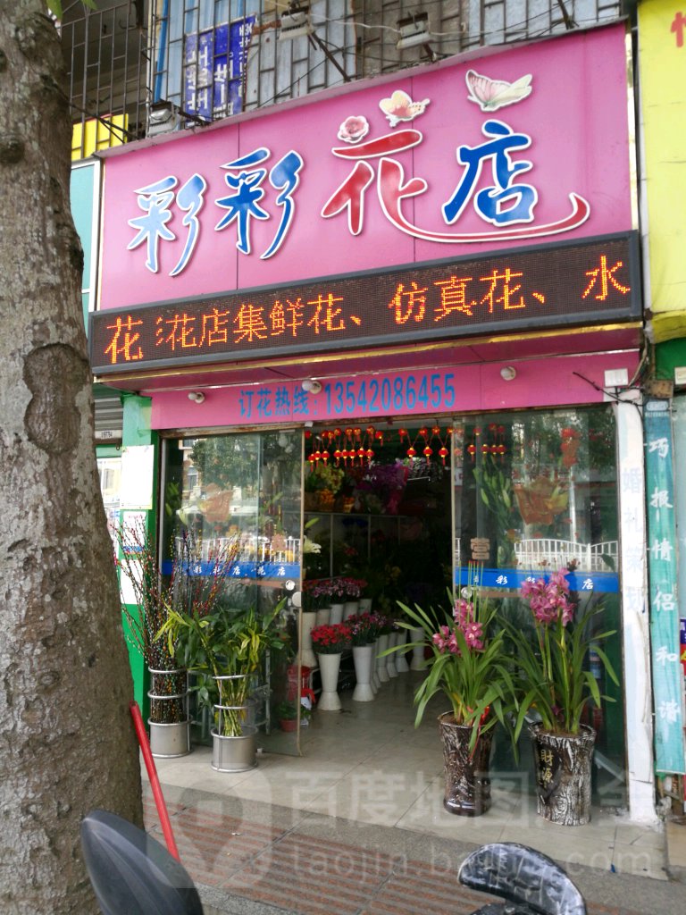 彩彩花店