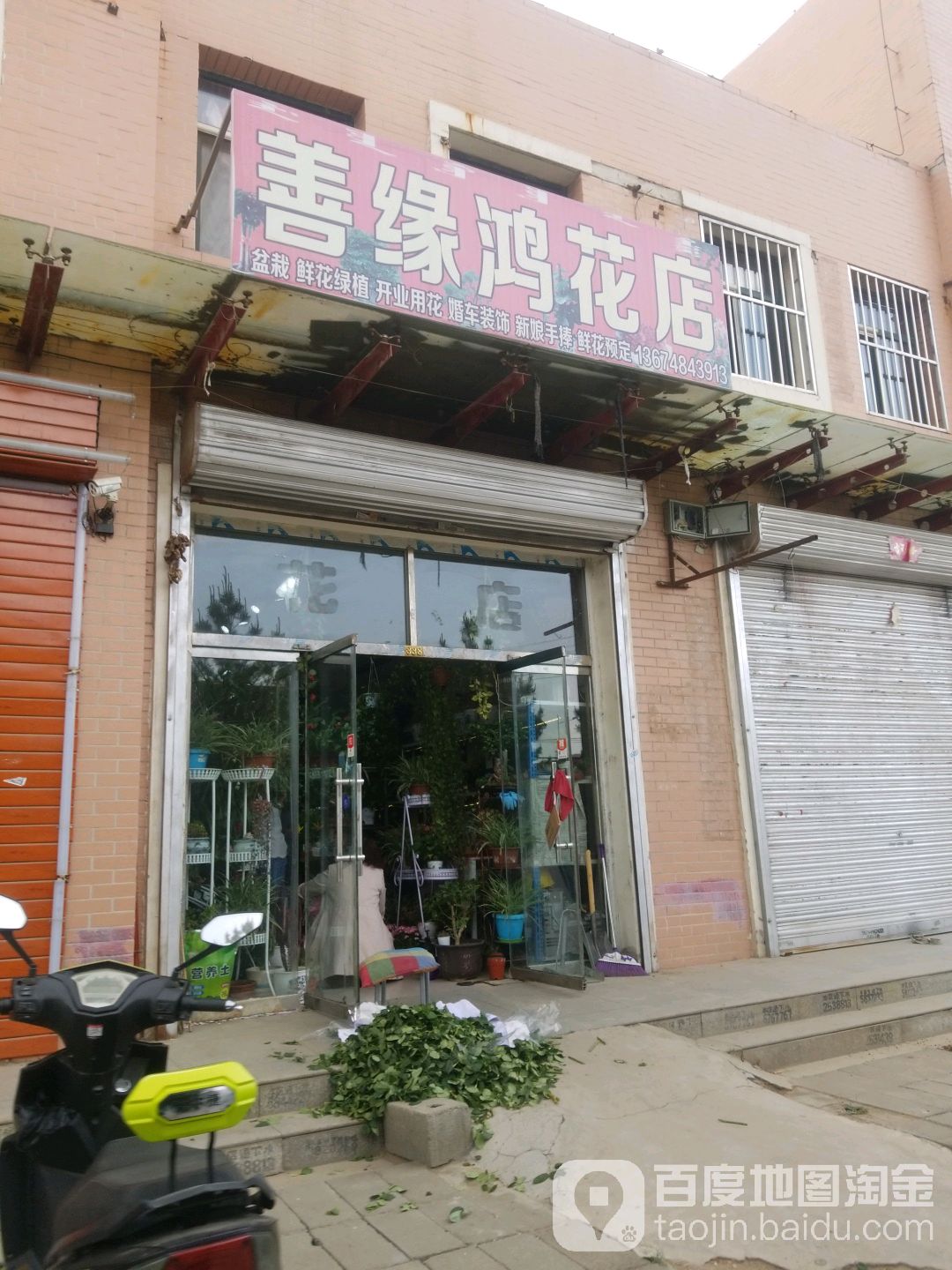 善缘鸿花点