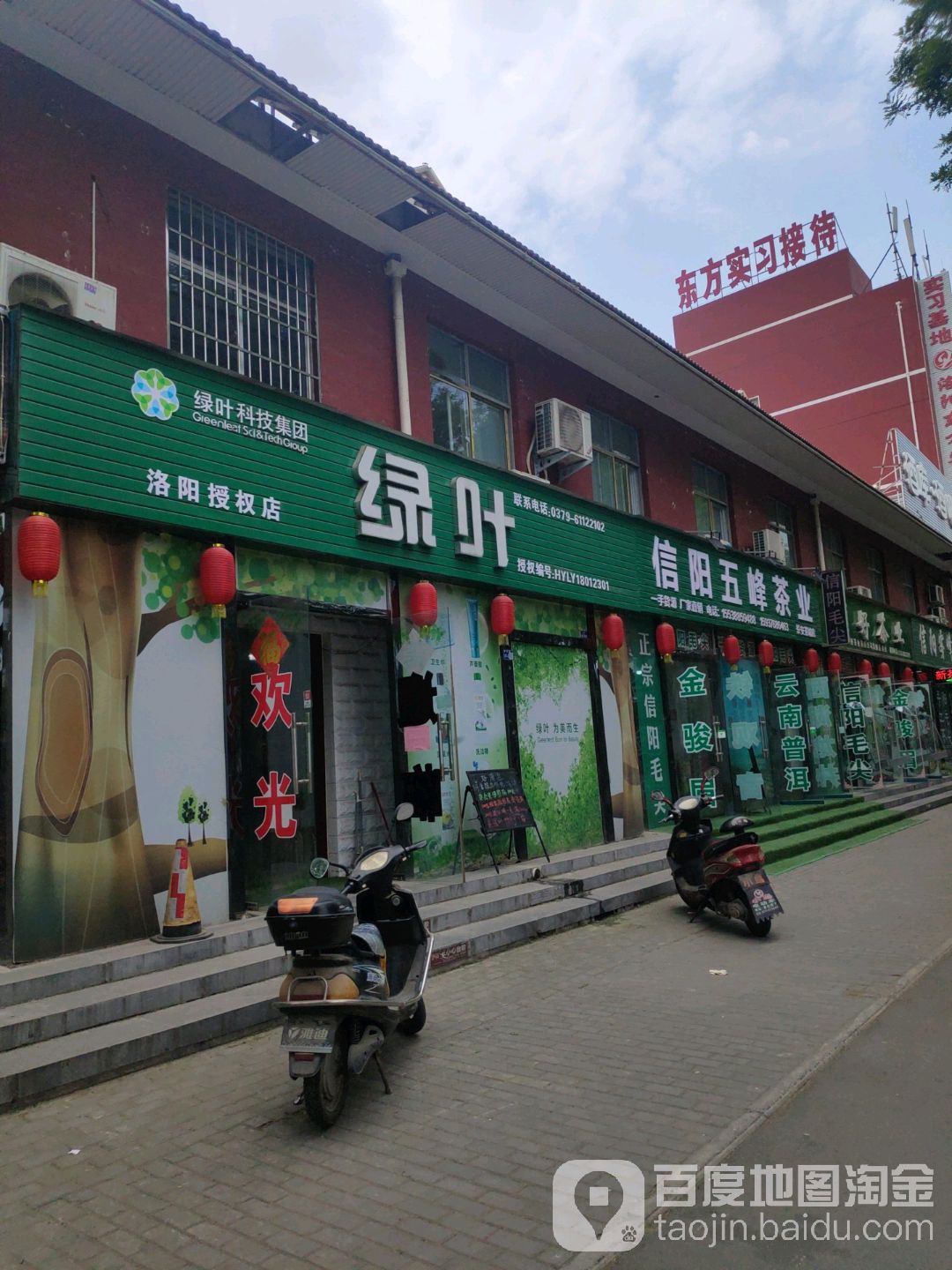 信阳五峰茶业