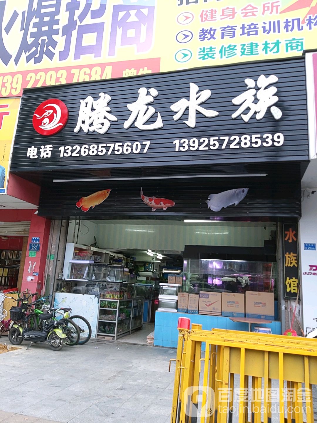腾龙水族(永泰花园店)