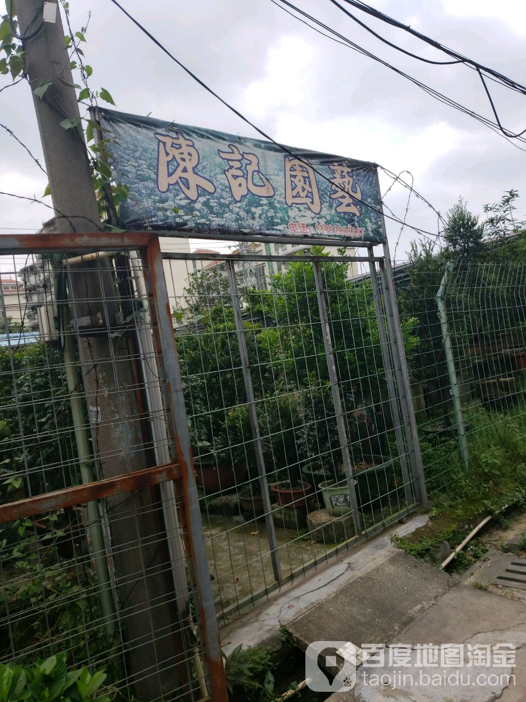 陈记国艺