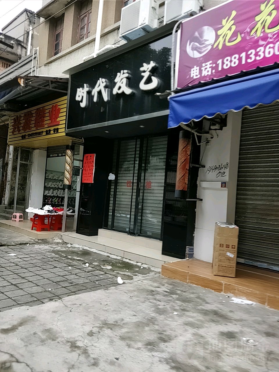 伊树时代发艺