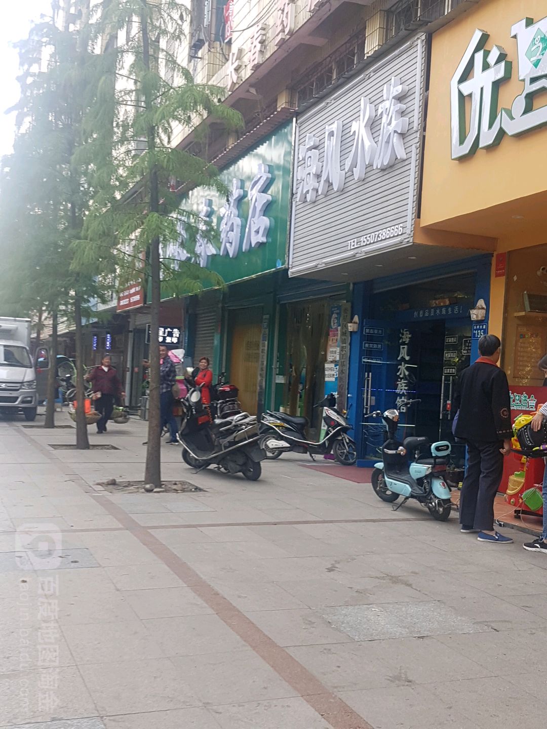 海风水族(娄底专卖店)