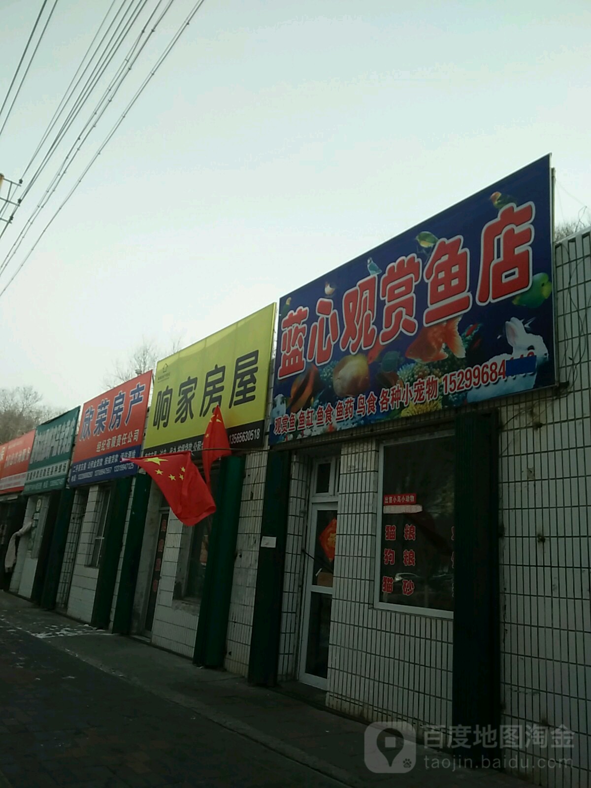 蓝心观赏鱼店