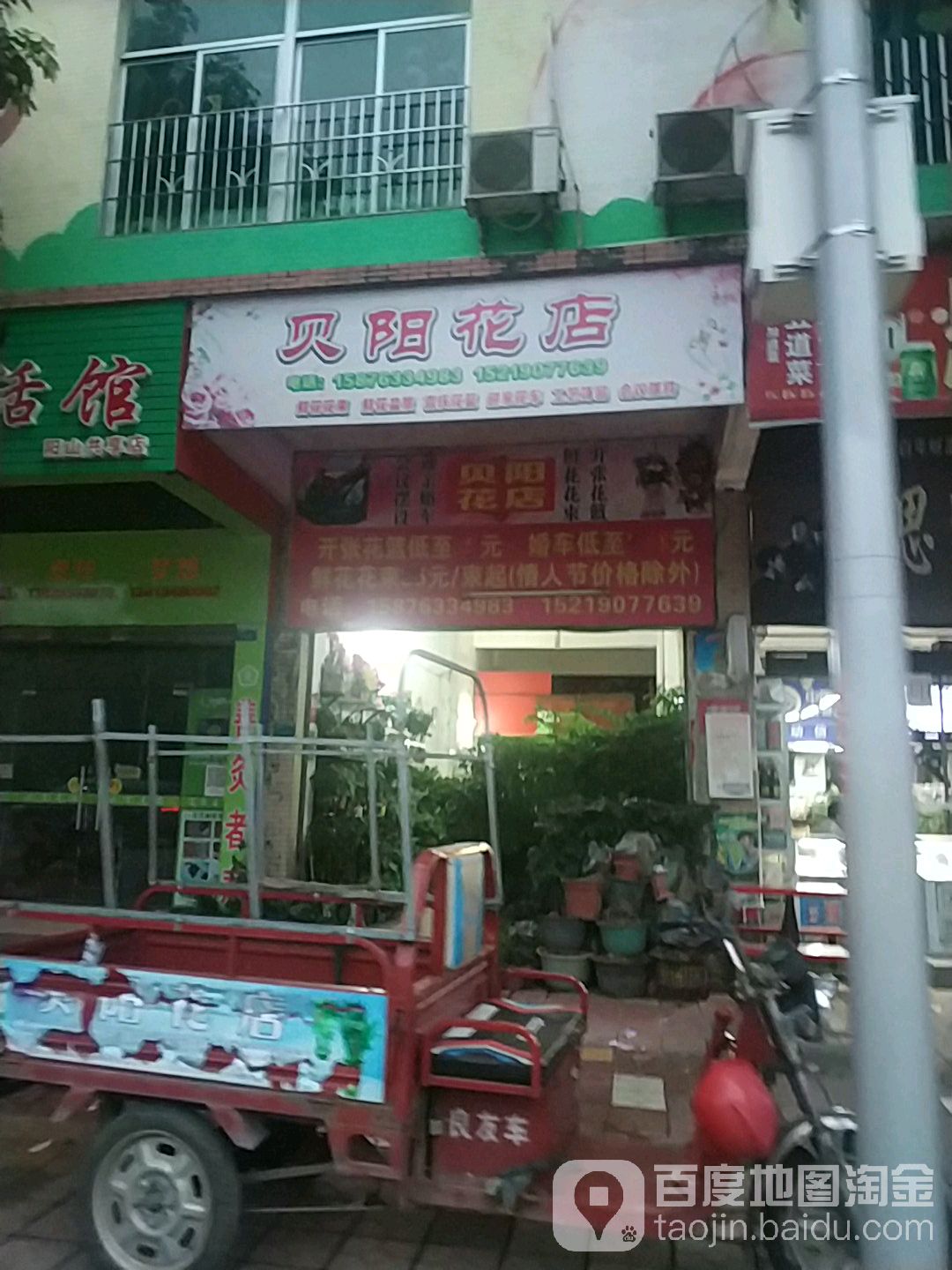 贝阳花店