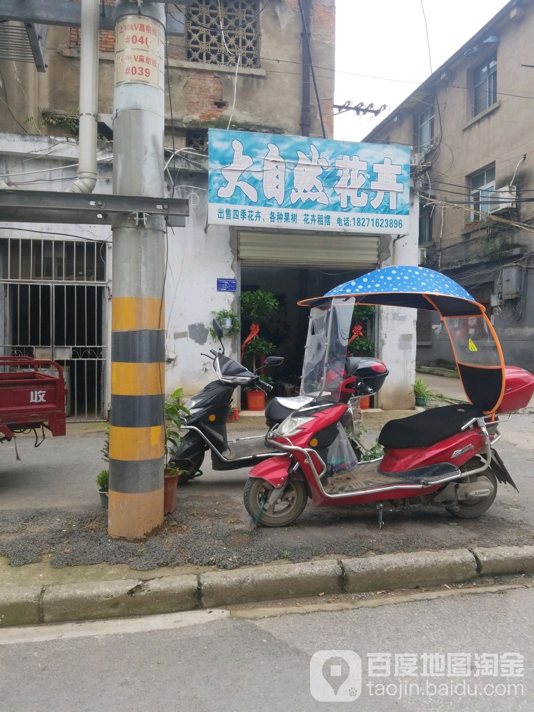 大自然花卉