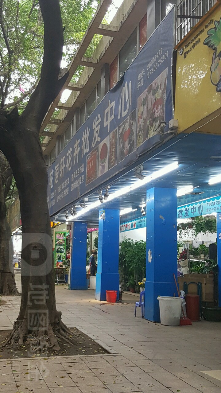 花语轩花卉(深圳市龙华公园商业街店)
