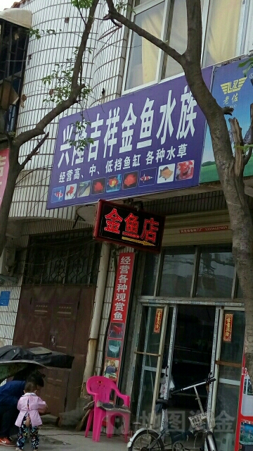 兴隆金鱼商店