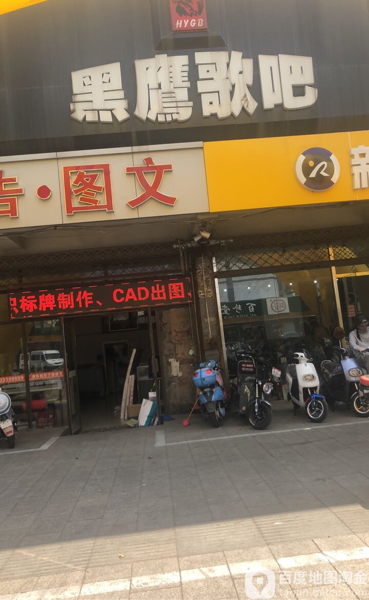 黑鹰哥巴