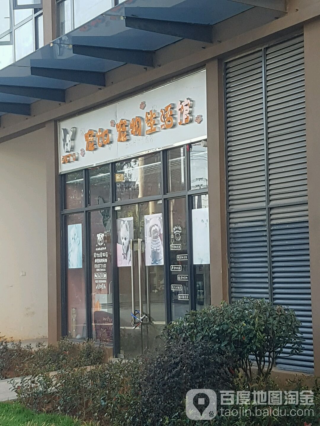 宠ta宠物生活馆(天宇广场店)