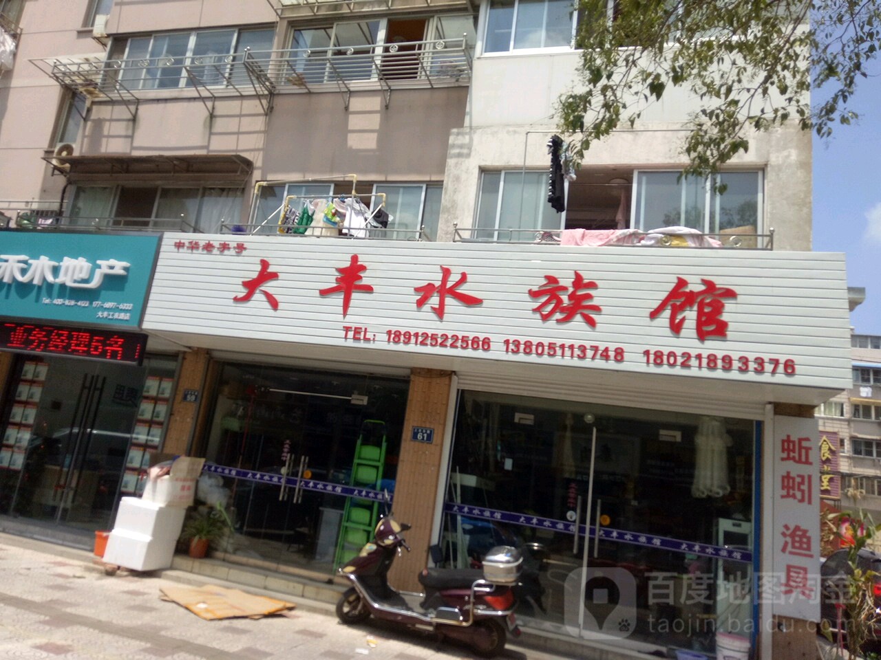 大丰水族馆