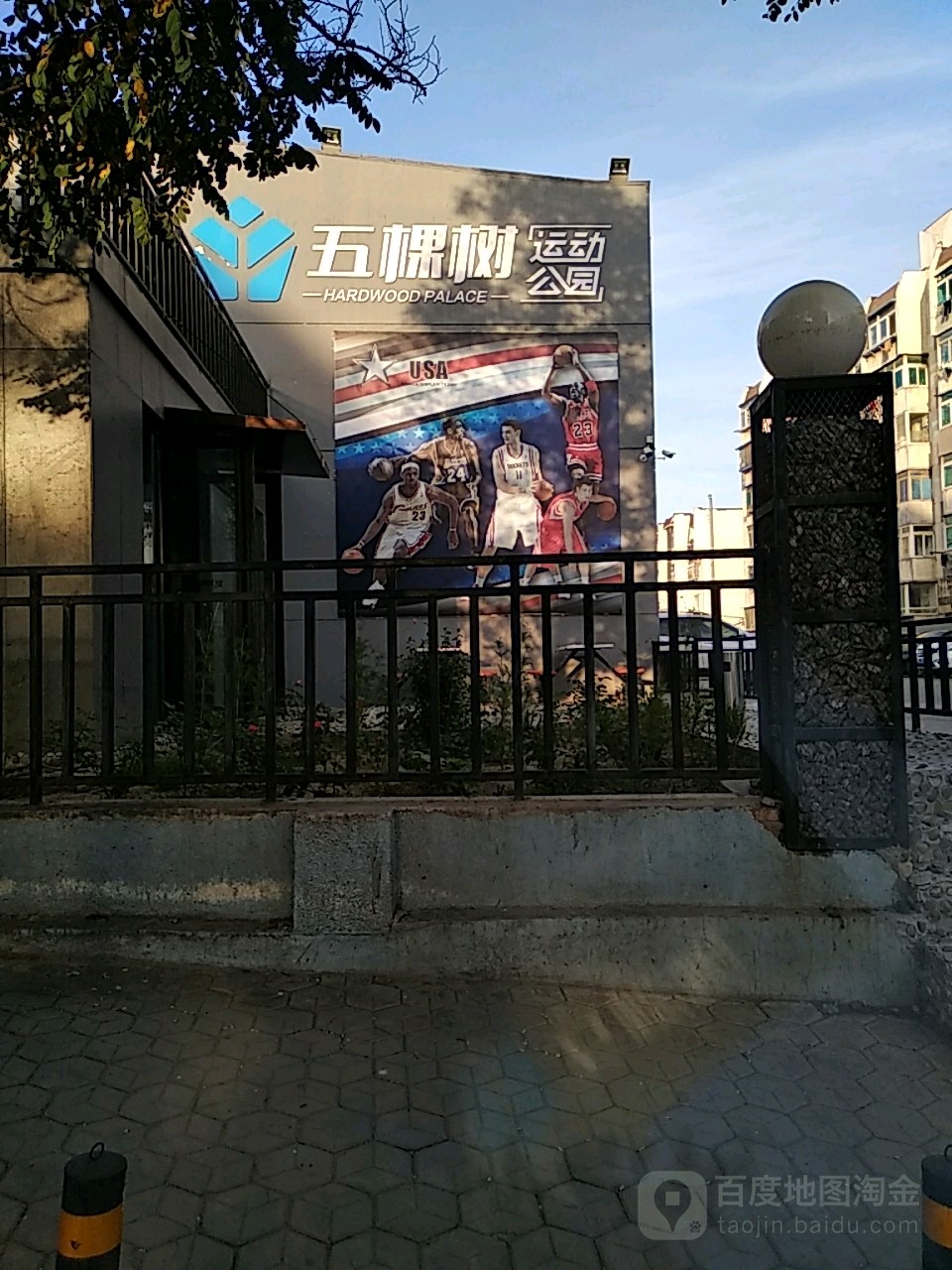 五棵树运动工作