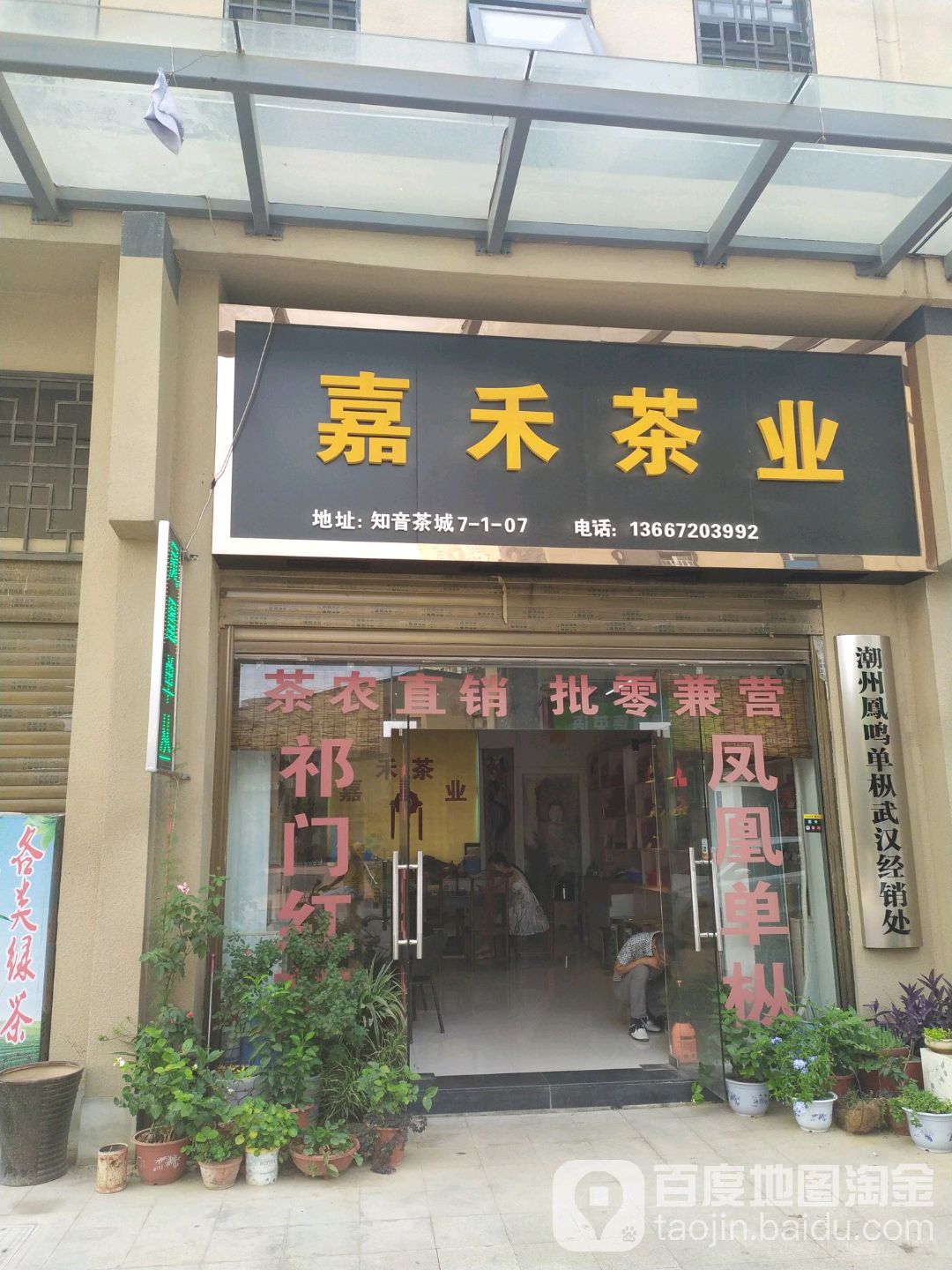 嘉禾茶业