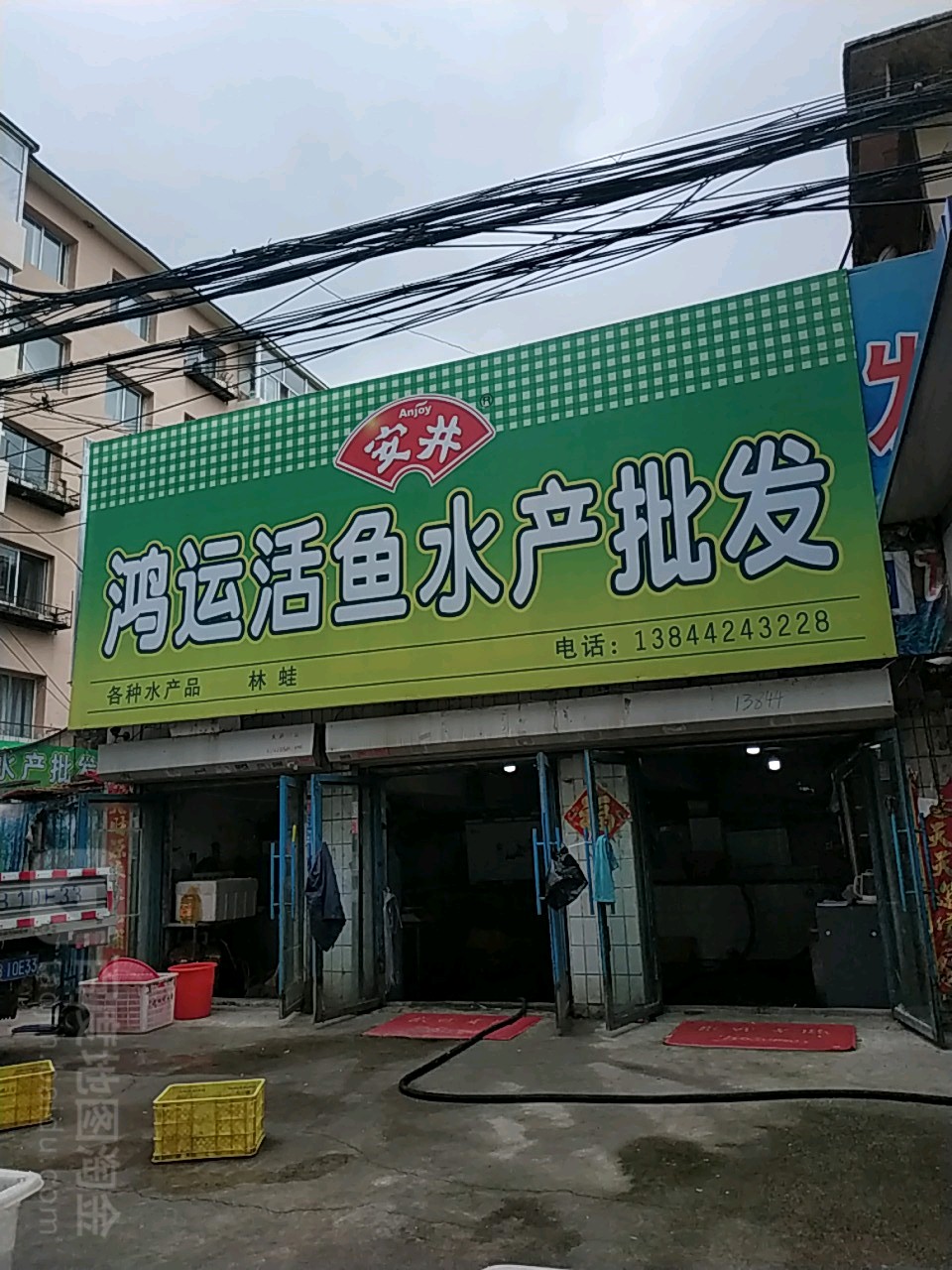 鸿运活鱼水产批fa(兰天小区店)