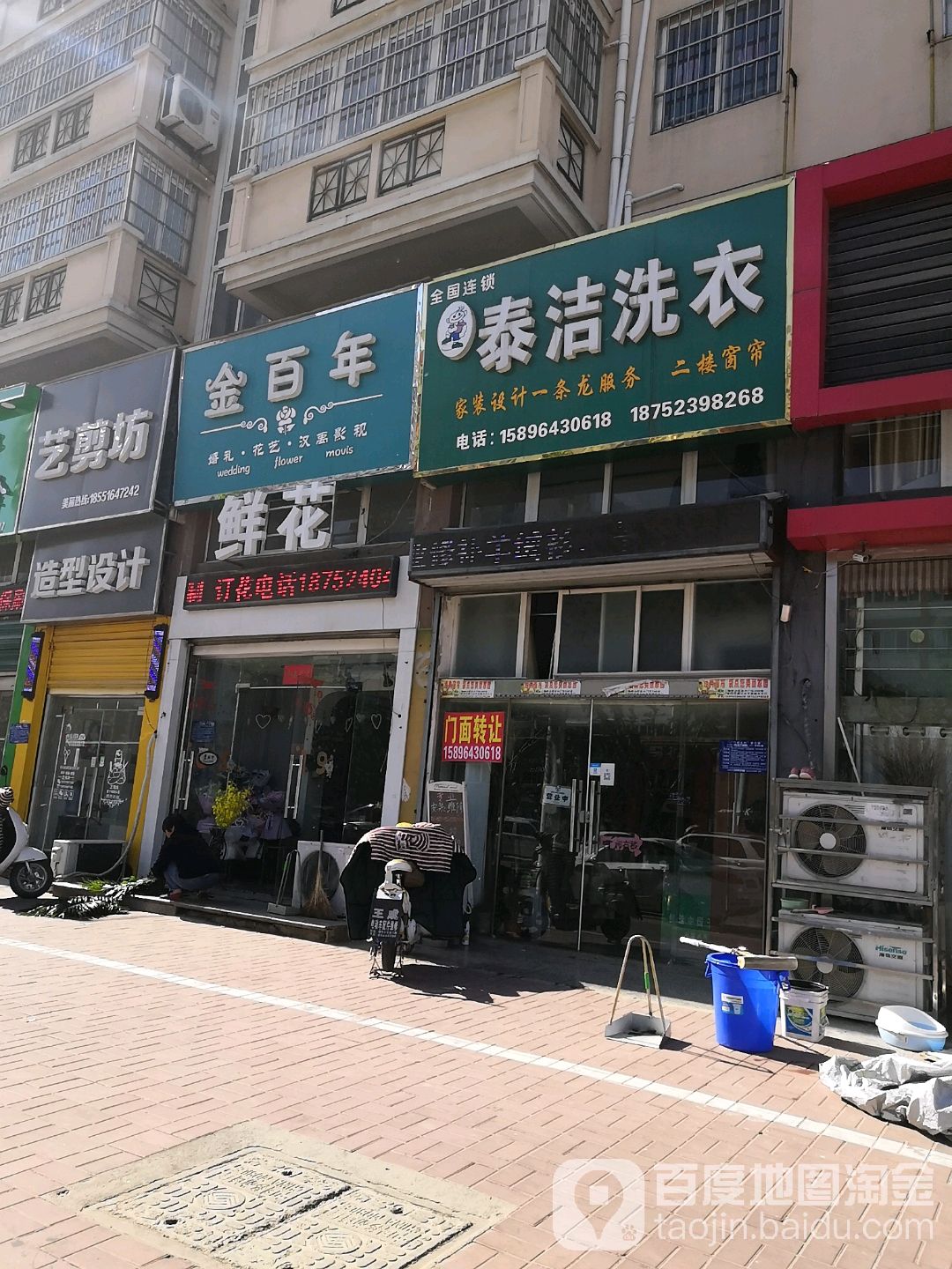 金百年鲜花