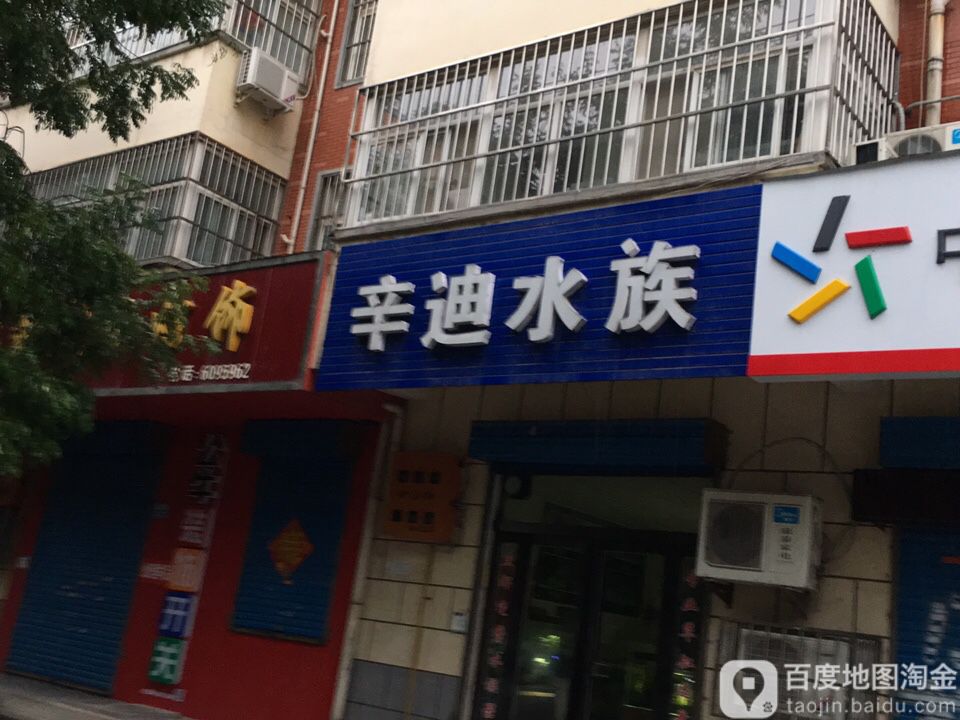 辛迪水景