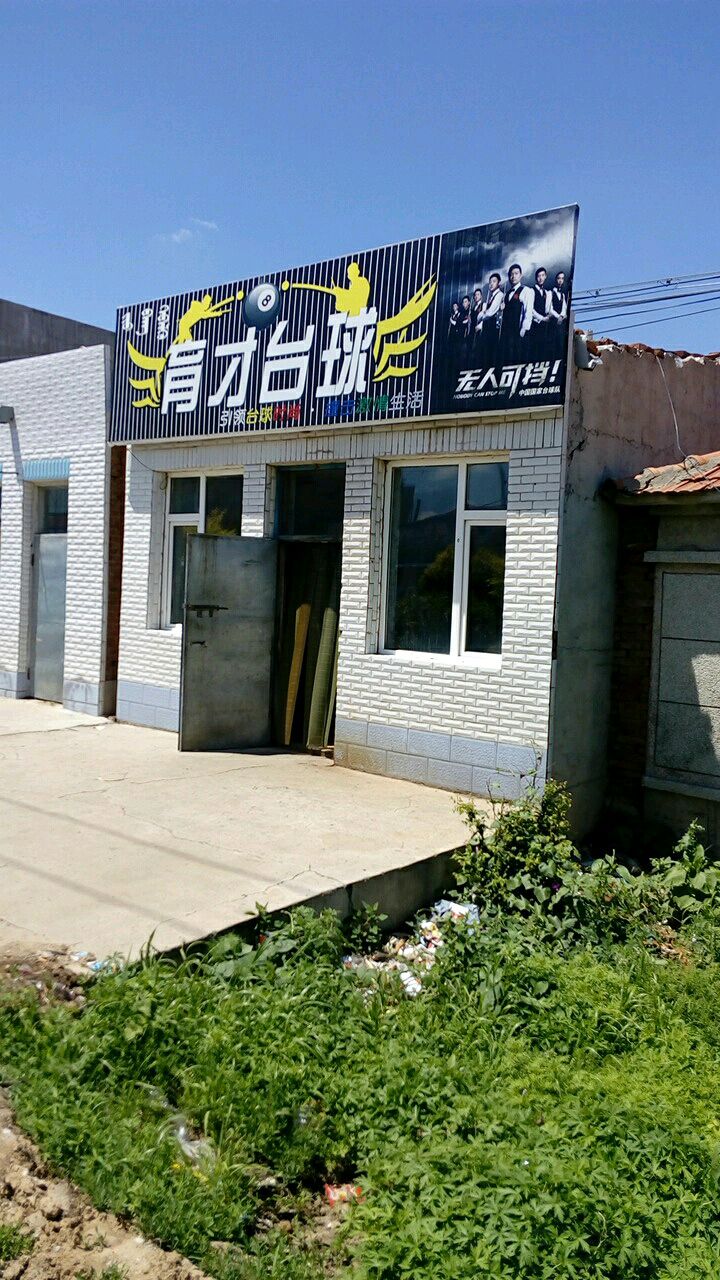 育才台球
