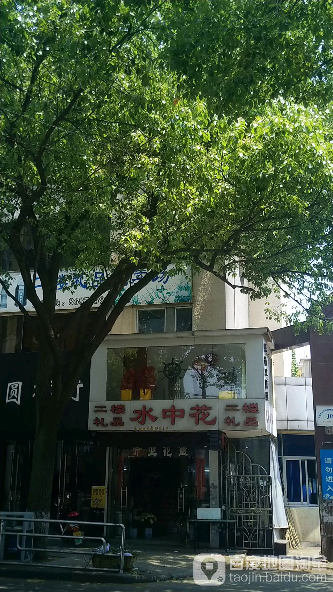 水中花鲜花礼品店(新大路店)