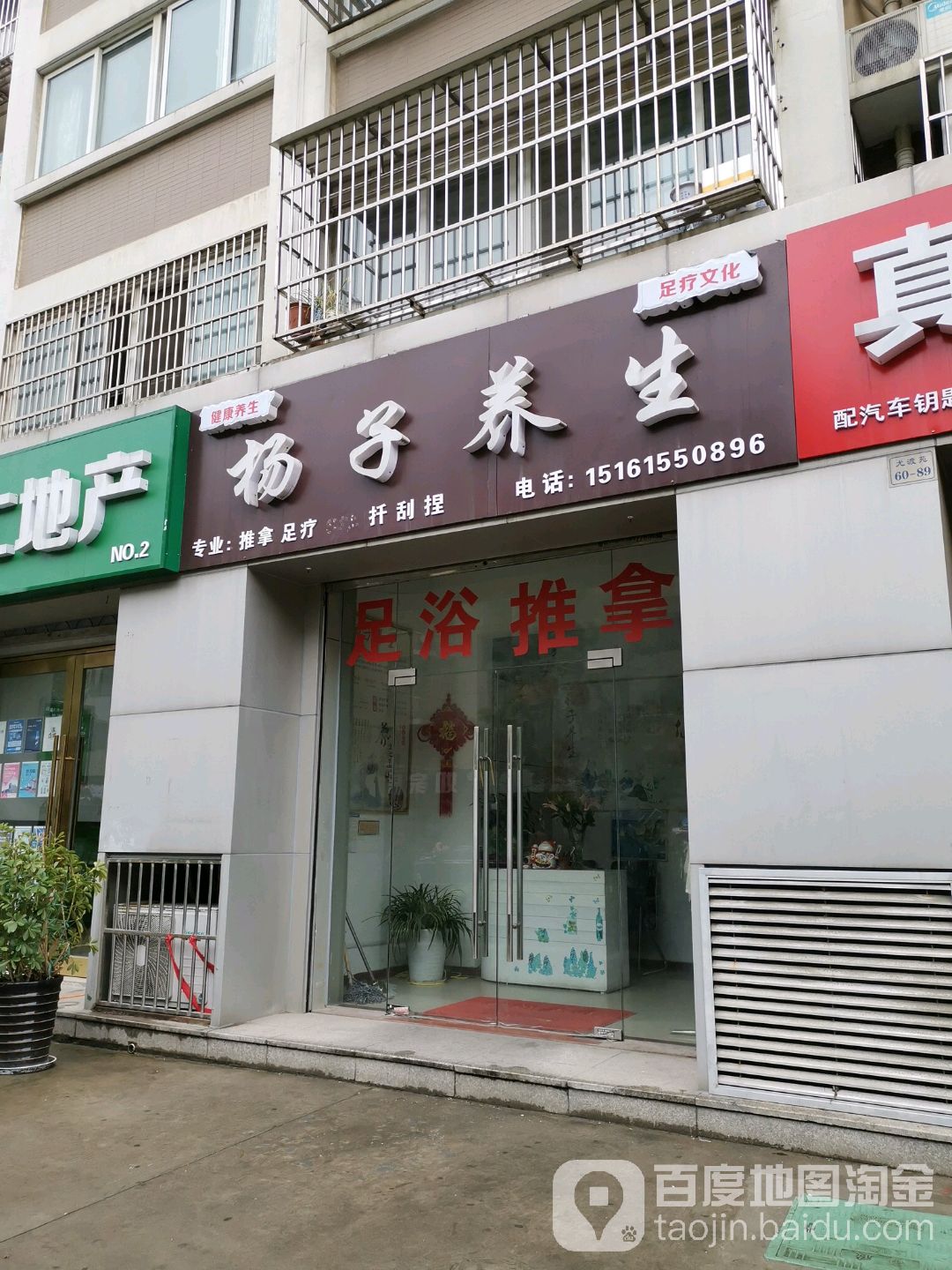 杨子养生