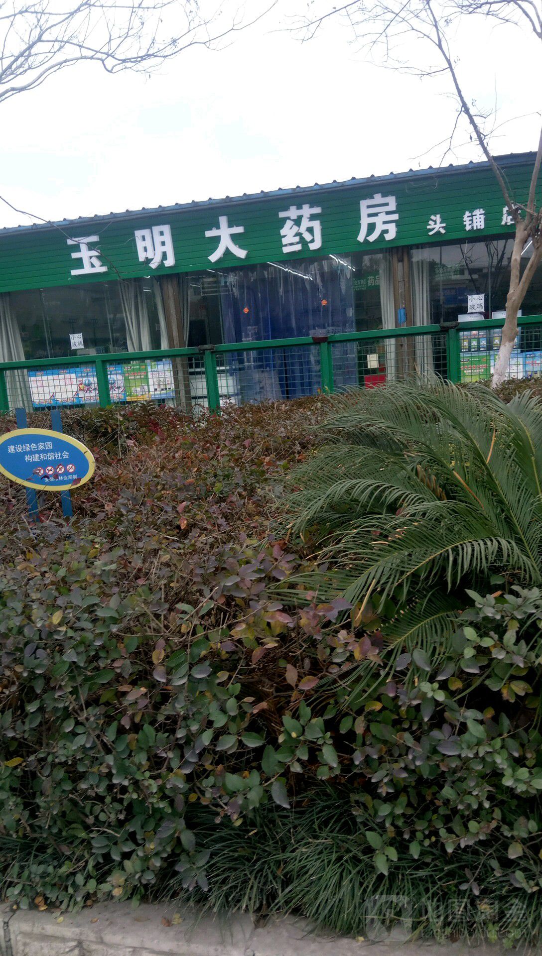 玉明药房房(头铺店)