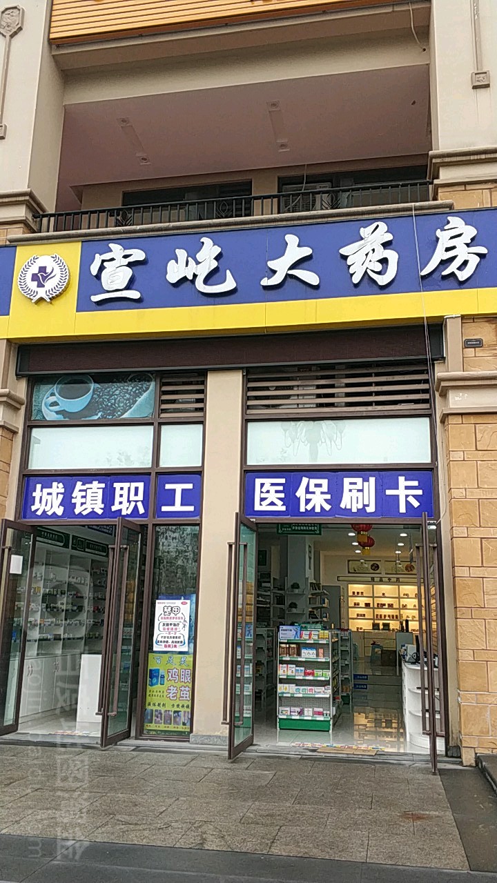 宣屹大药店