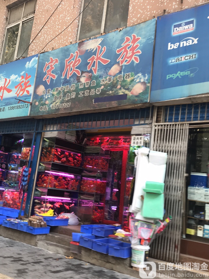 宋欣水族(文艺南路店)