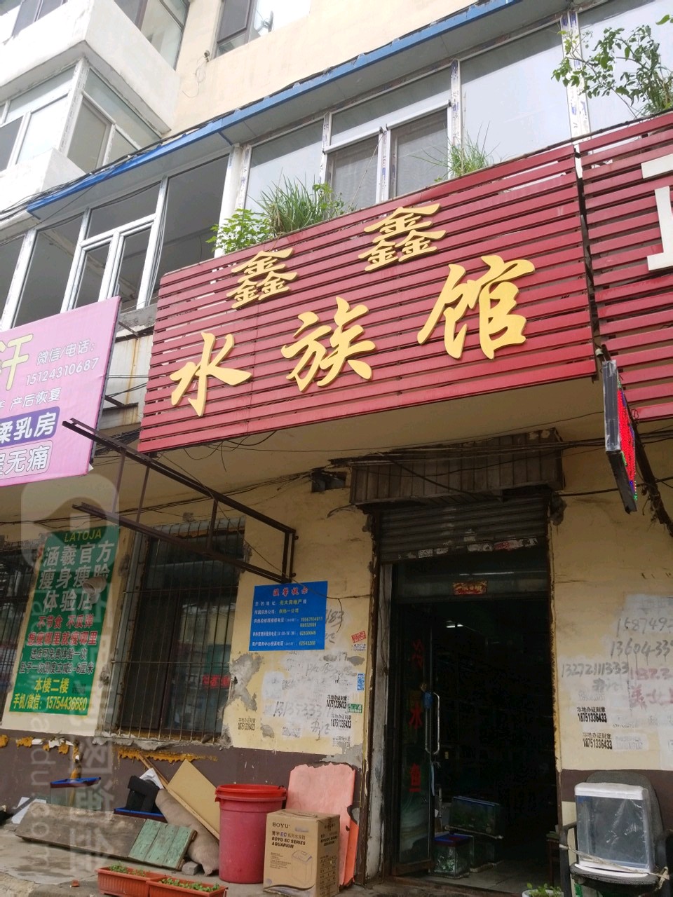 鑫鑫水族馆
