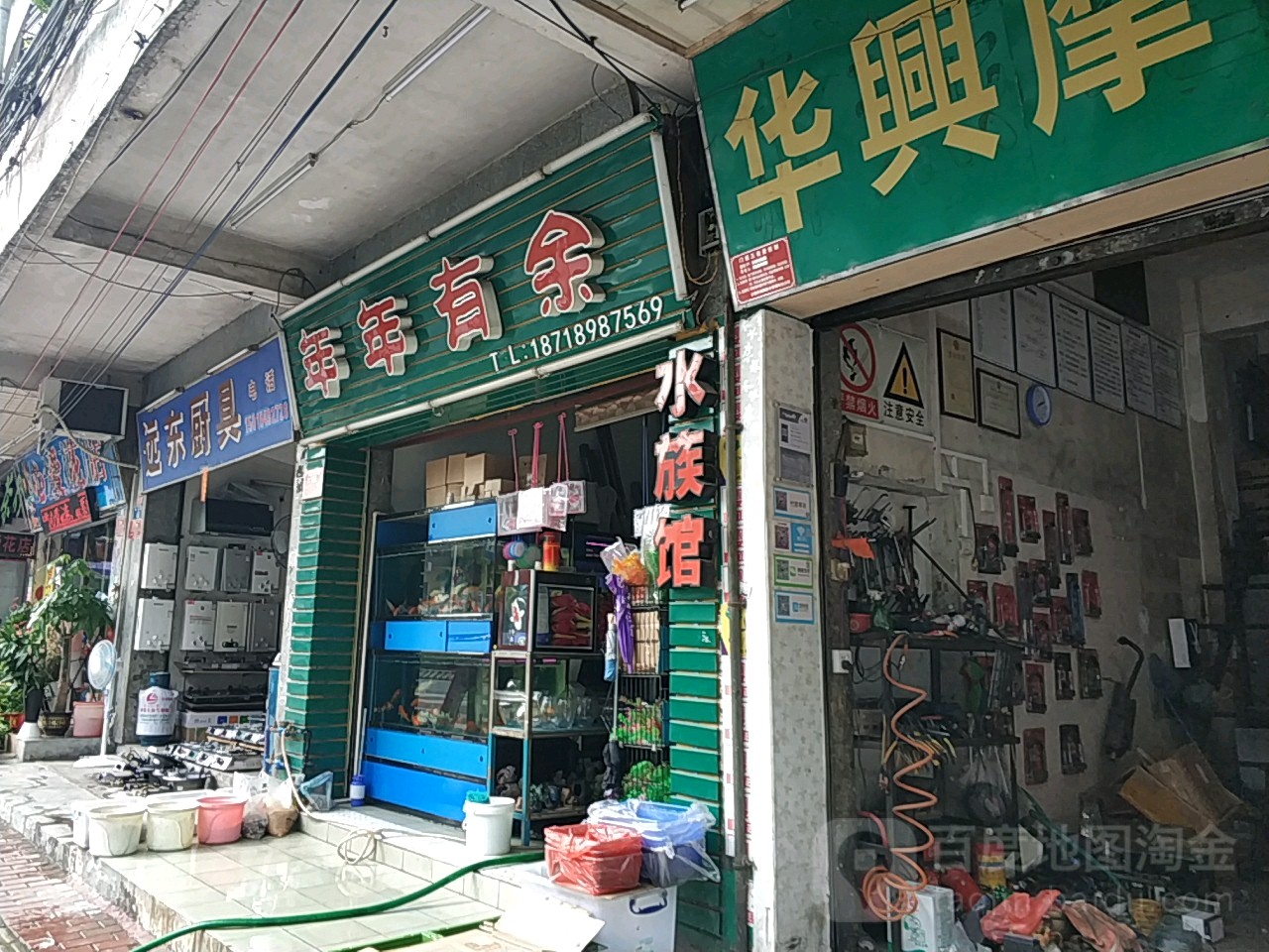 年年有余