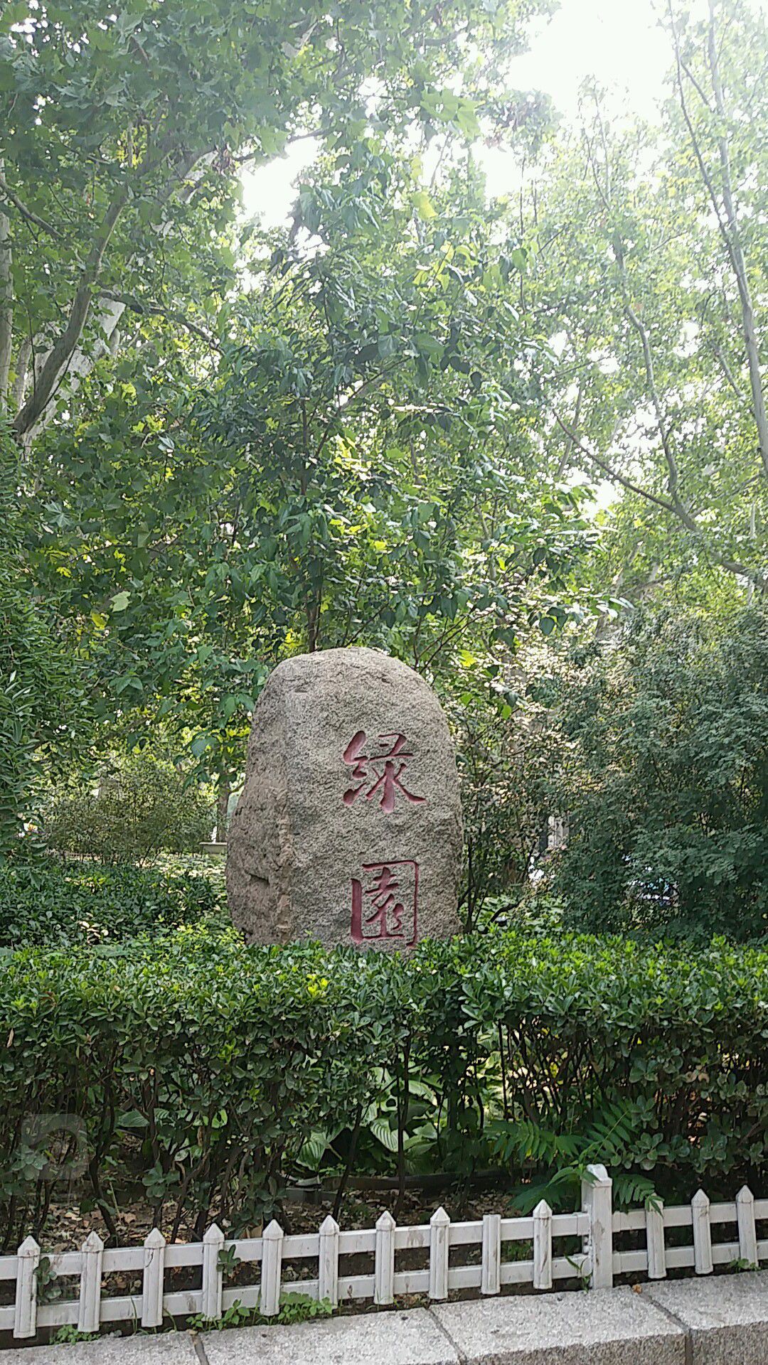 绿园