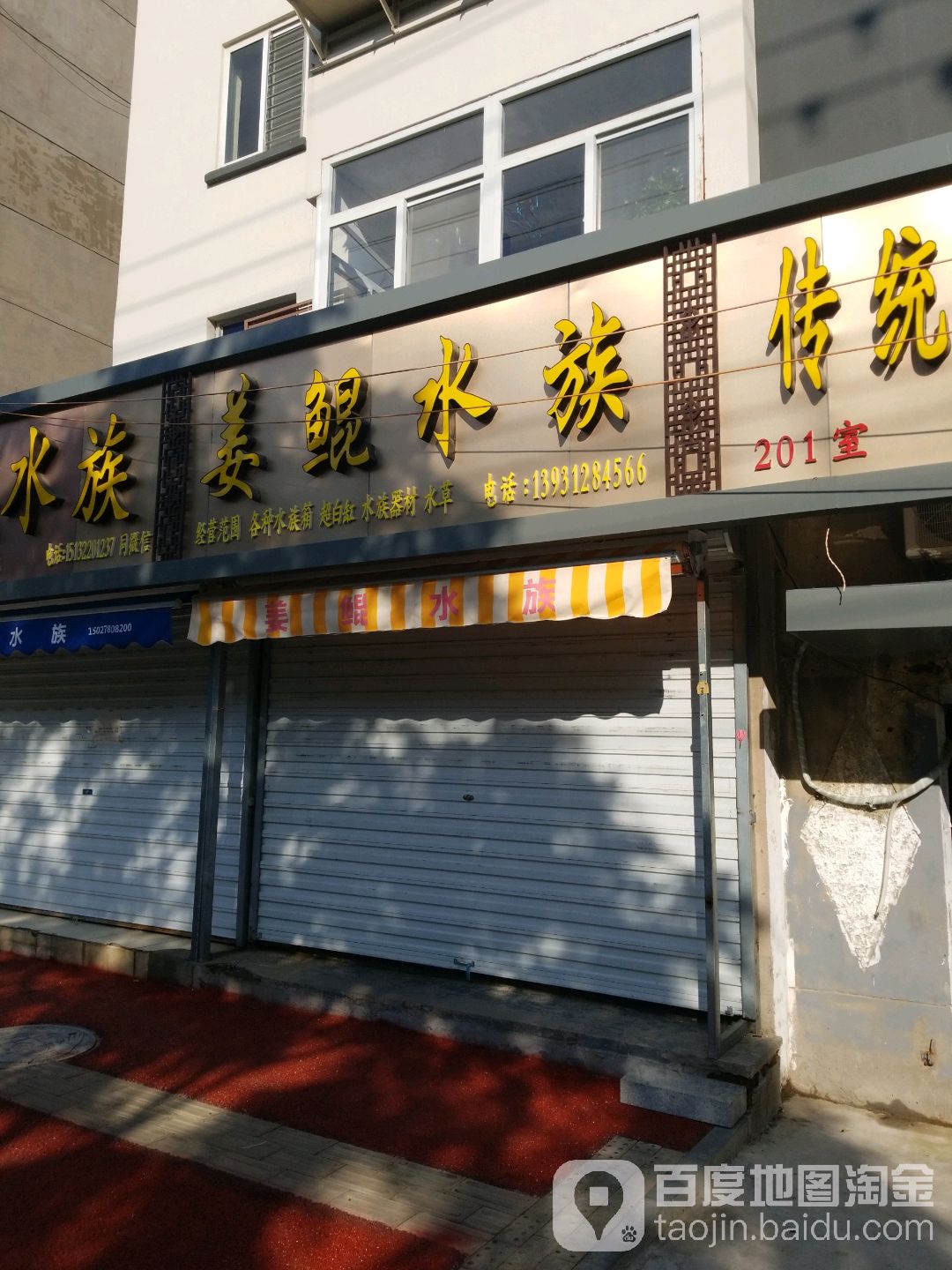 姜鲲水族