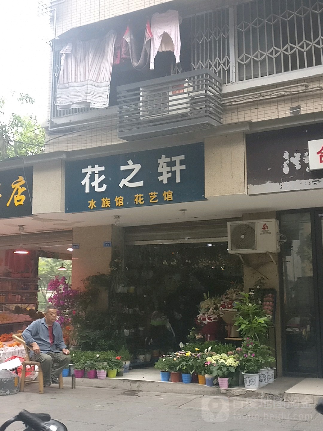 花之轩水族馆花艺管