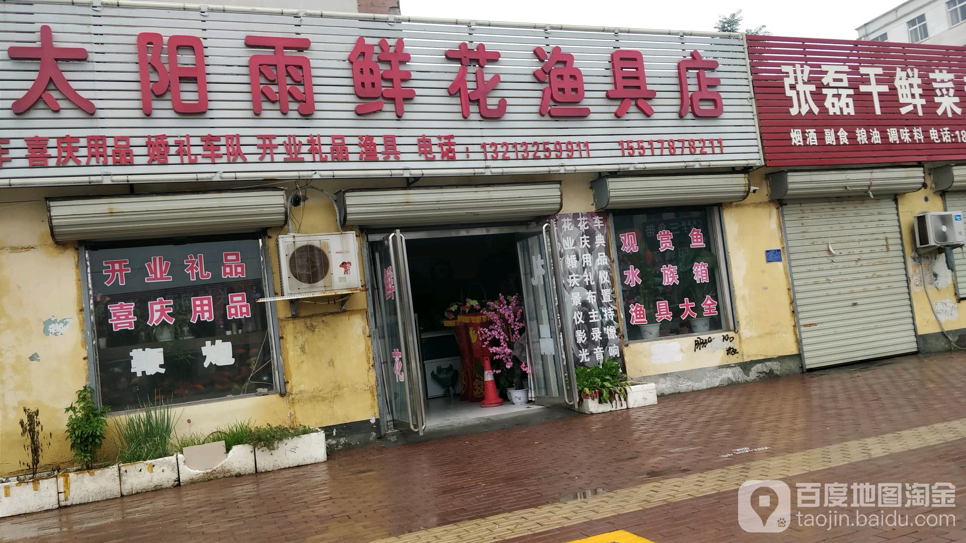 鱼缸大全太阳雨鲜花渔具店