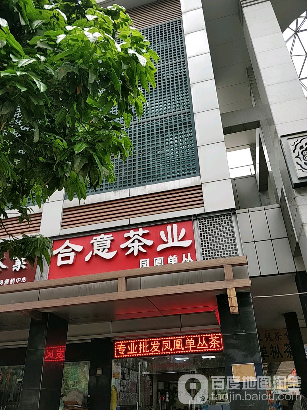 合意茶业