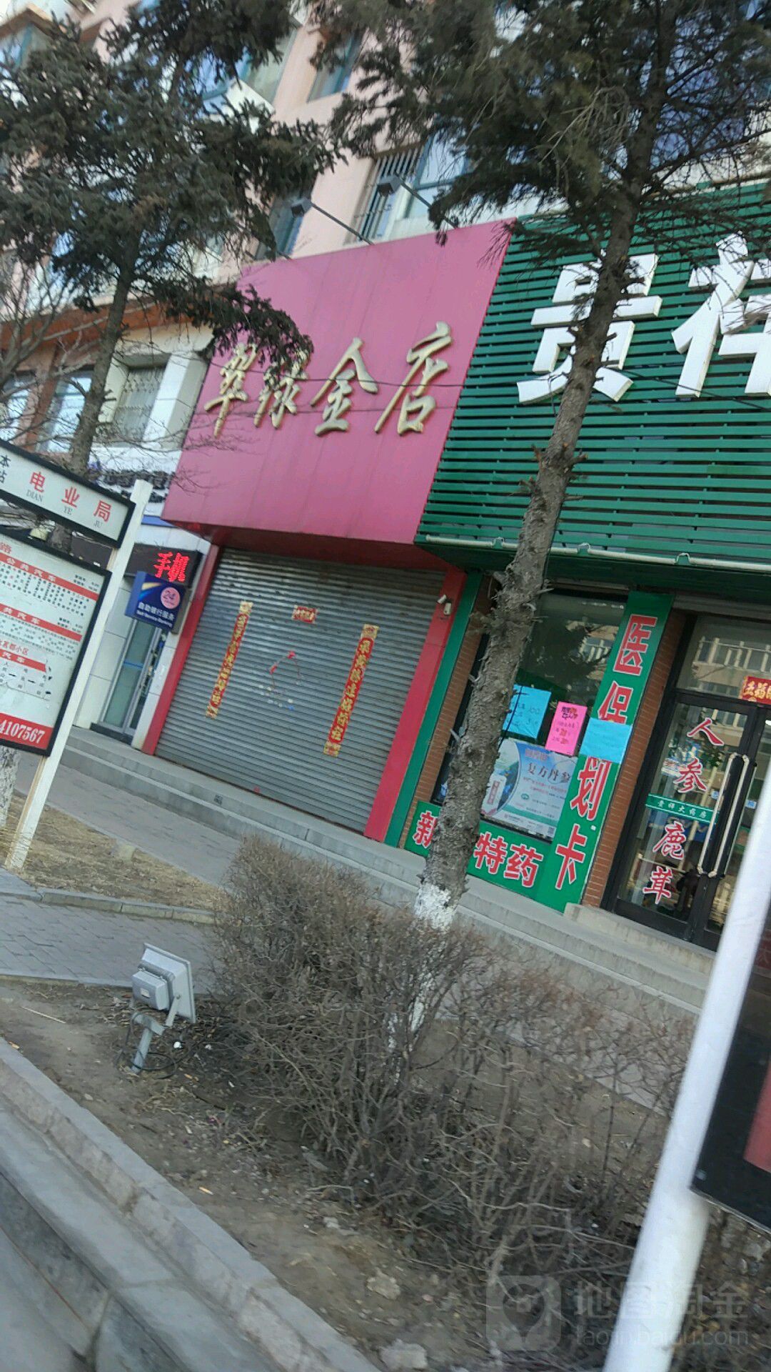 翠绿金店