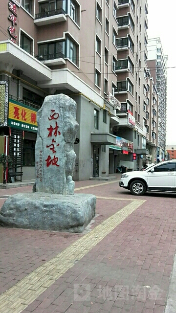 佳木斯市向阳区西林路302号