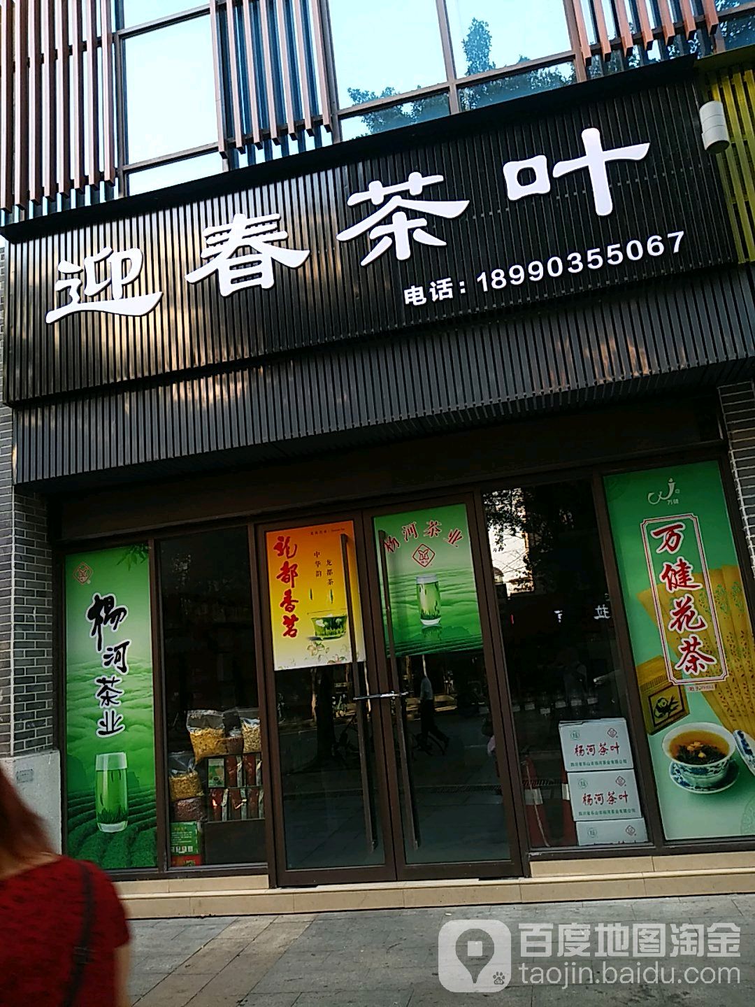迎春茶叶