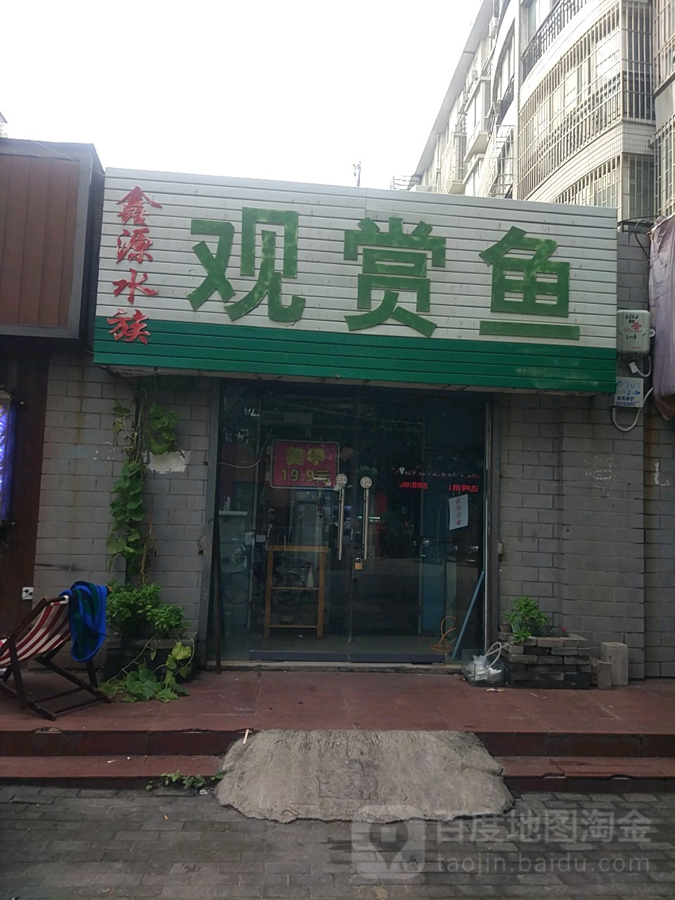 金源水族观赏鱼