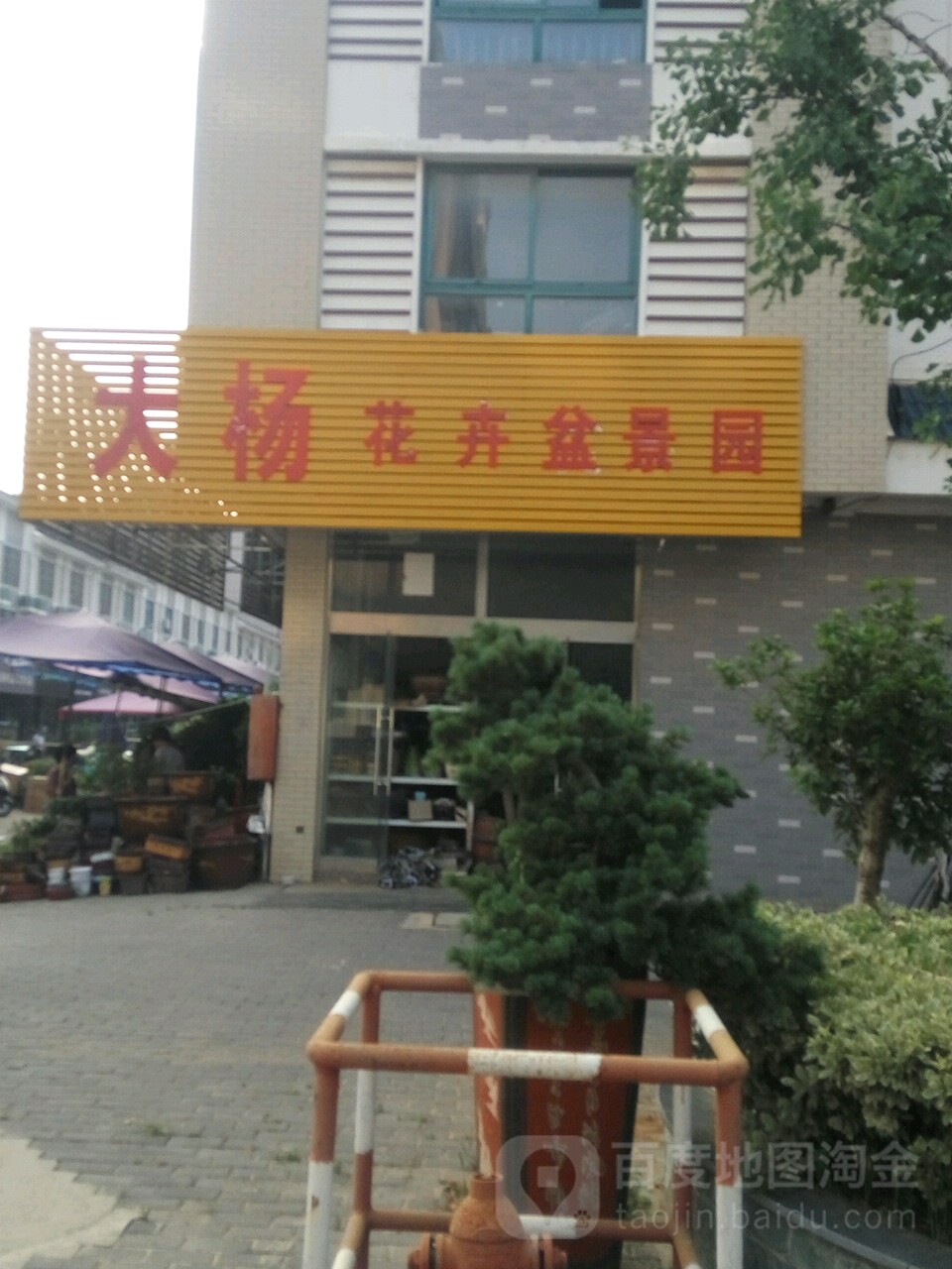 大杨花卉盆景园