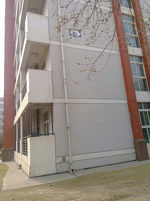 郑州大学菊园6号楼西