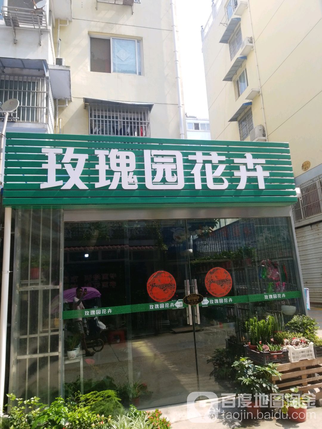 玫瑰圆花卉