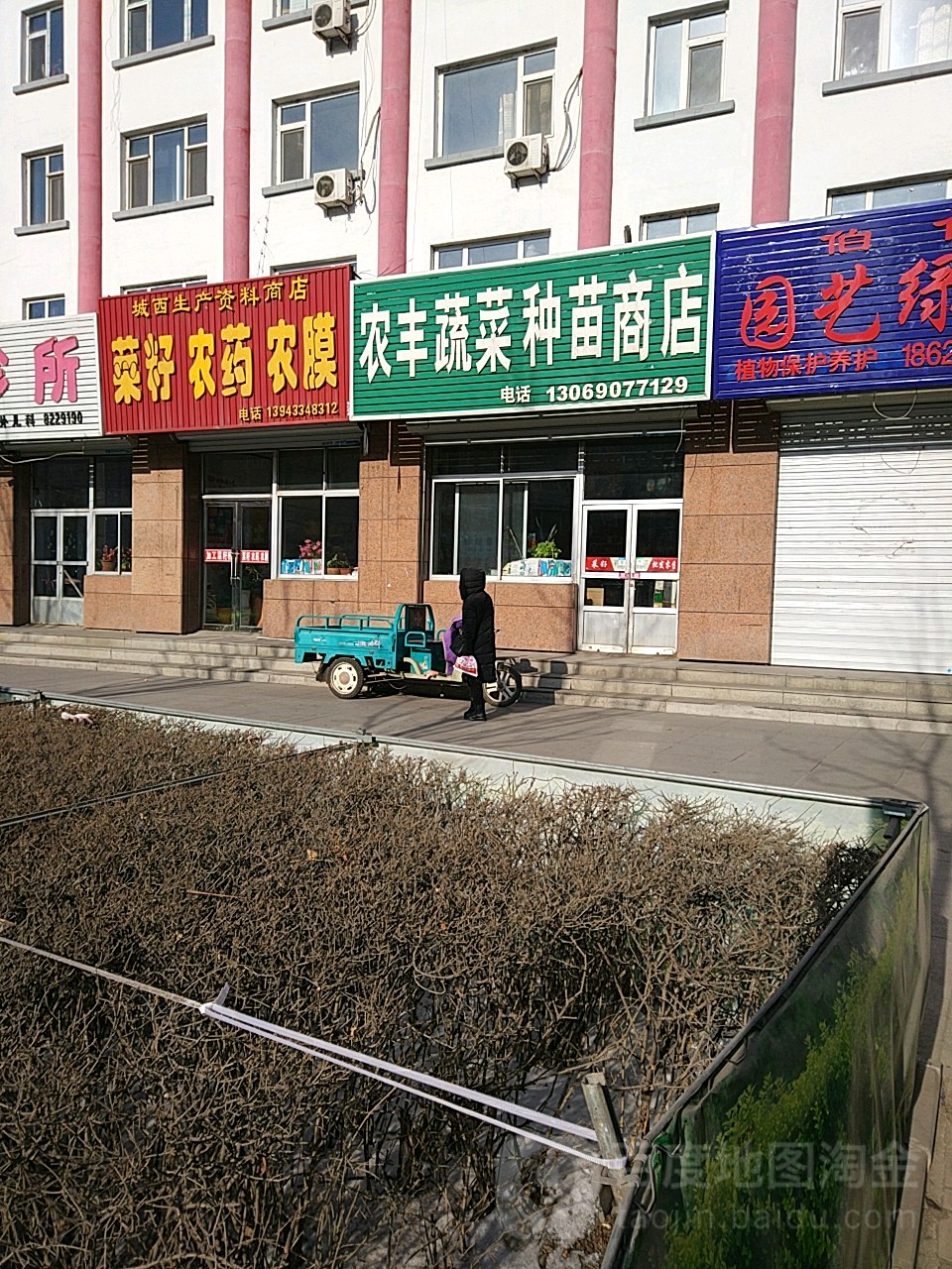 农丰蔬菜种苗商店