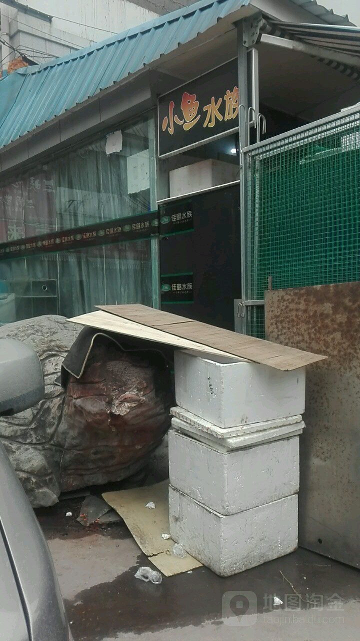 小雨水族
