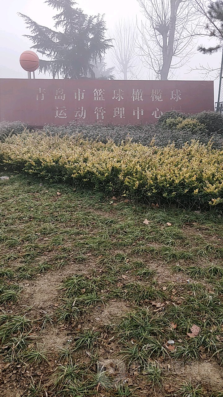 青岛市篮球橄榄球运动管理中心