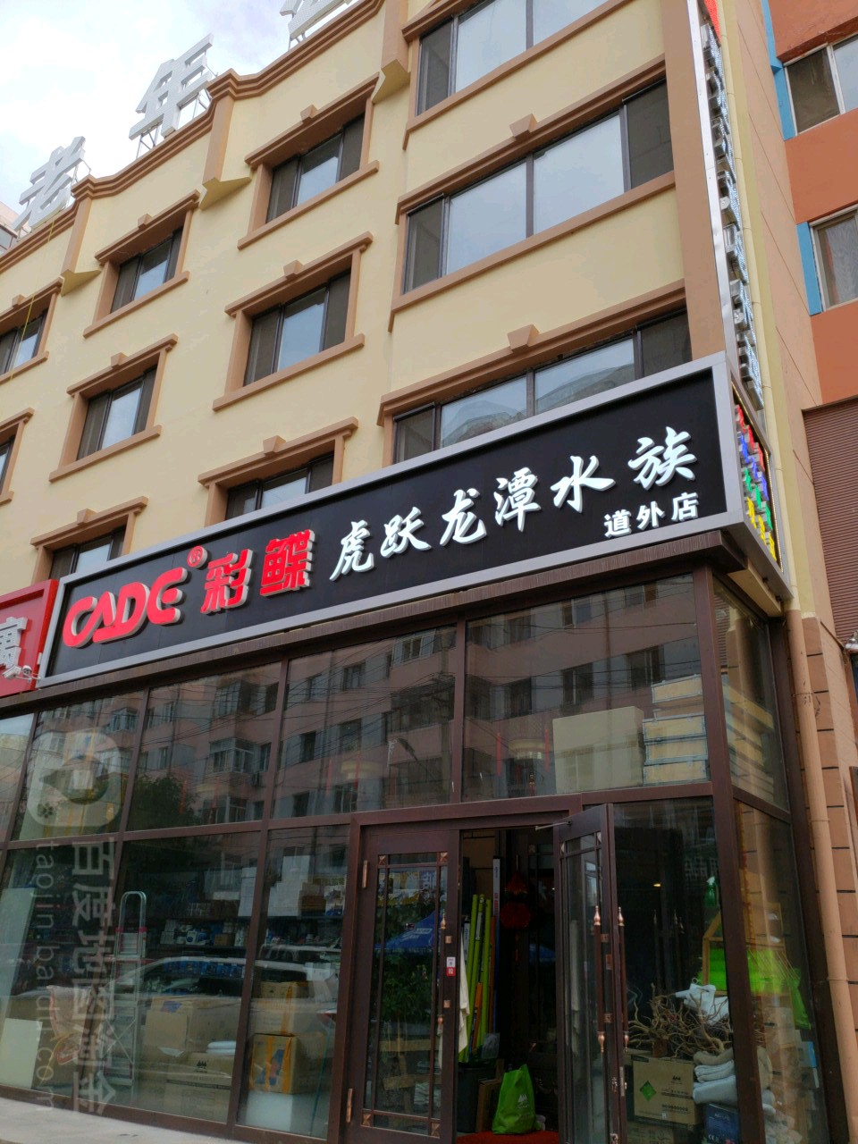 彩鲽虎跃龙墰水族(道外店)