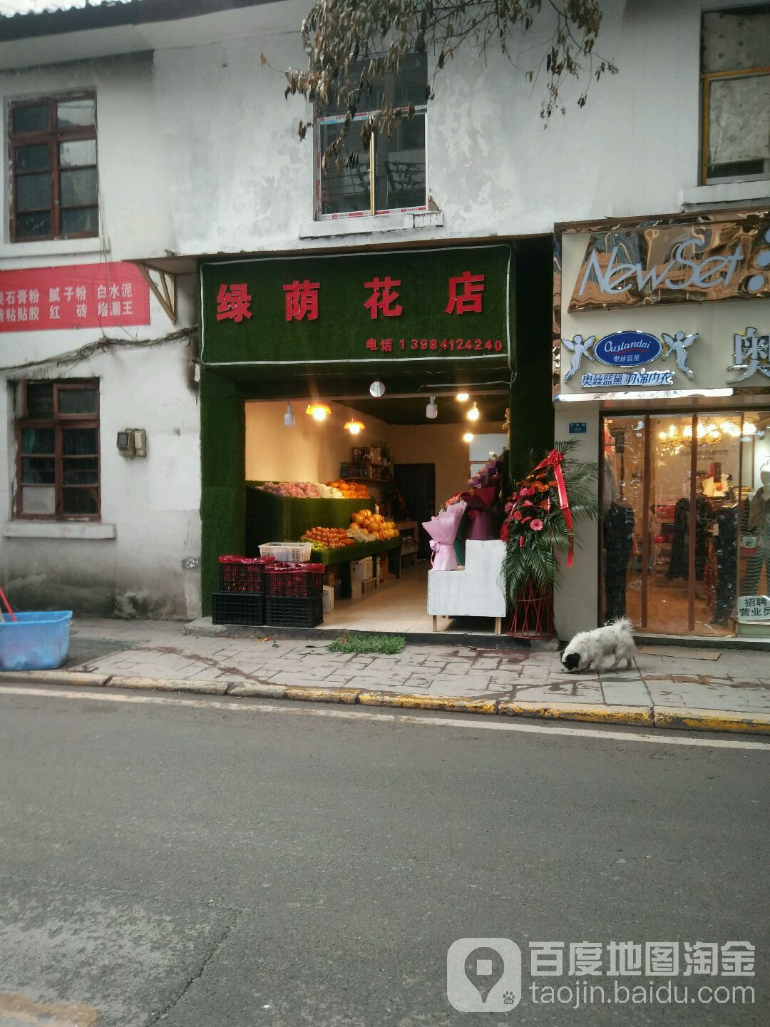 绿荫花店