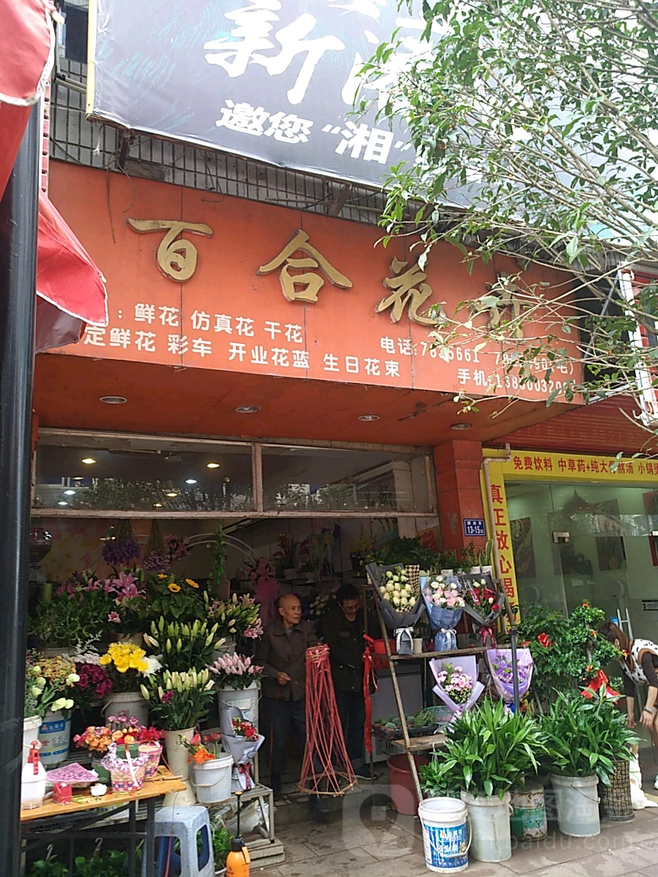 百合花鸟(城中路店)