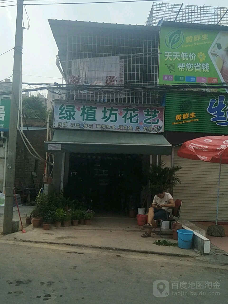 绿植坊花艺(塘尾塘祠路老市场店)