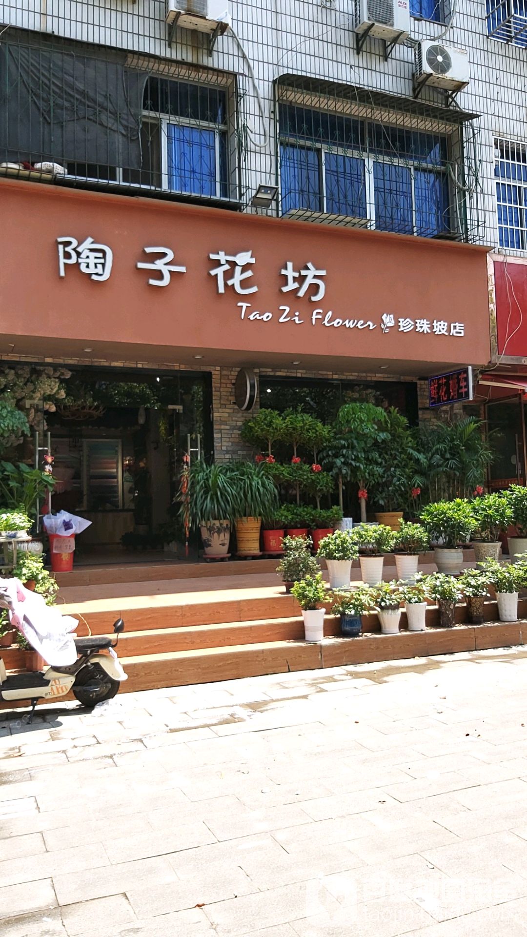 陶子花坊(珍珠坡店)